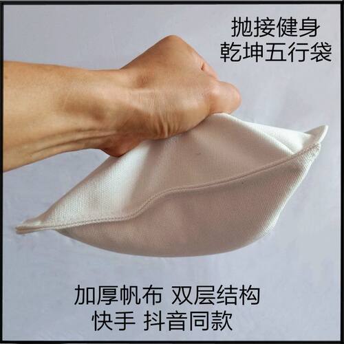 乾坤五行袋练功专业乾坤五行袋加厚帆布沙袋成年人採抓抛接鹰爪功