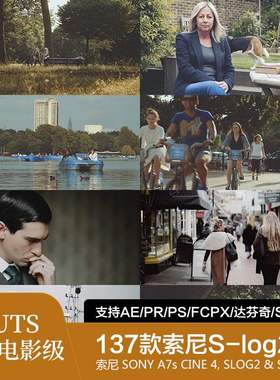 高端索尼SLOG2 3电影级调色LUT预设 AE/PR/PS/FCPX/达芬奇/SG/ED