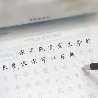 字帖练字成人大学生正楷书行楷临摹男女生字体漂亮静心硬笔练字帖