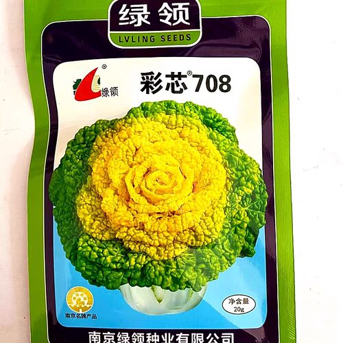 彩芯708黄心乌塌菜种籽绿岭种业耐寒抗病不结球杂交矮脚白菜种孑