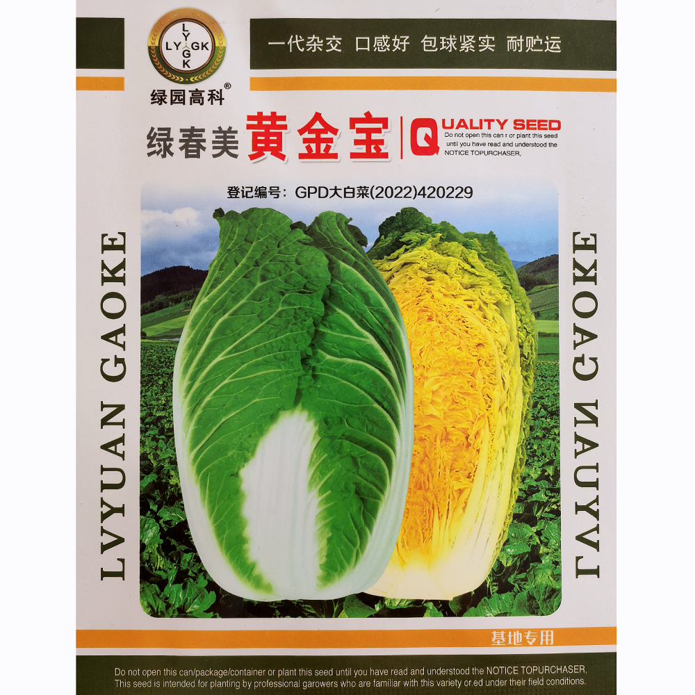 绿春美黄金宝大白菜种子抗根肿耐寒杂交大白菜种籽大田基地春秋播