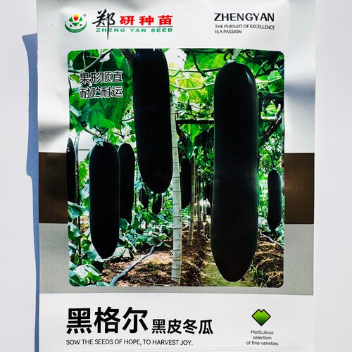 郑研种苗黑格尔黑皮冬瓜种子杂交中早熟长柱形大冬瓜种籽黑亮顺直