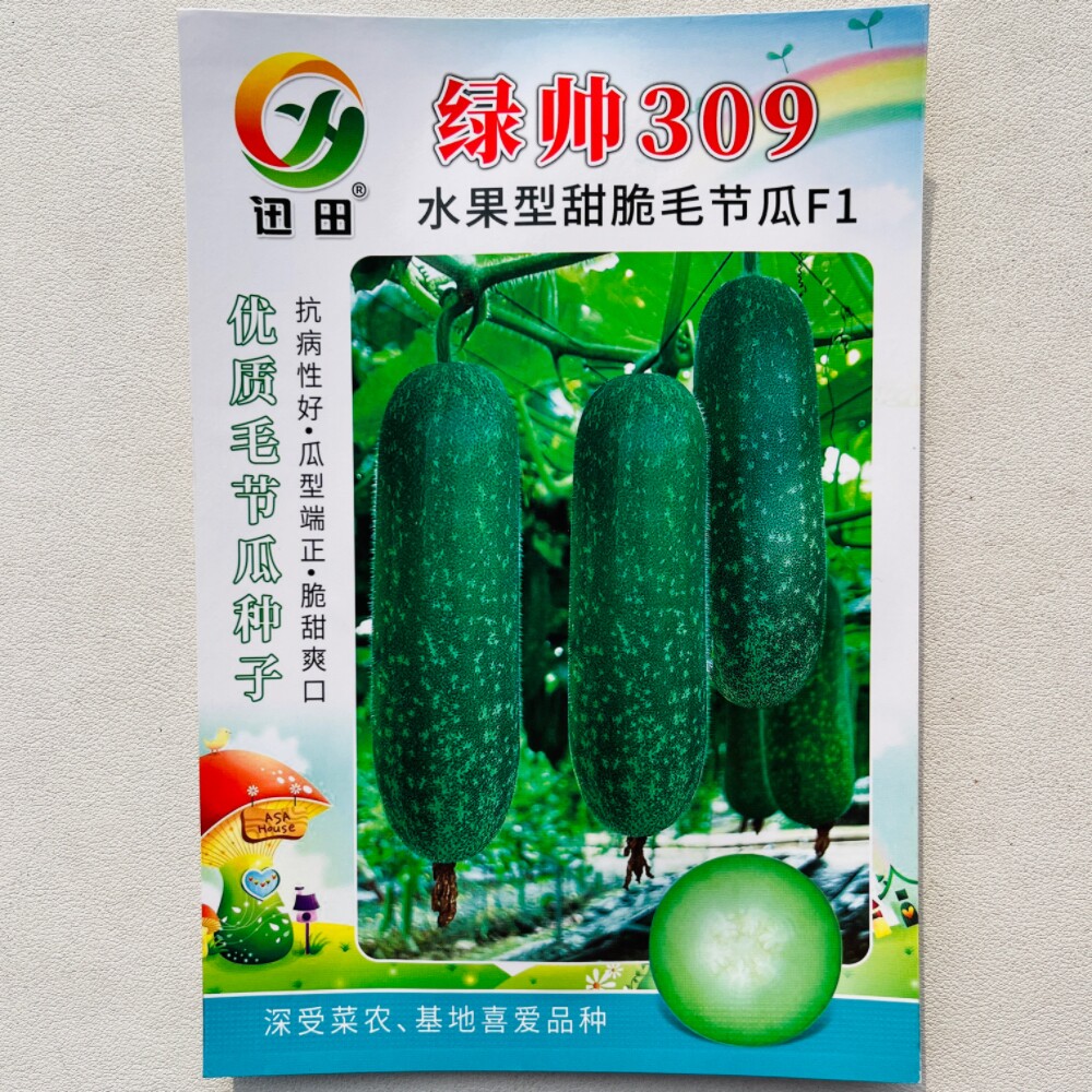 绿帅309甜脆毛节瓜种子玲珑水果小冬瓜高产节瓜种籽农家春秋季播