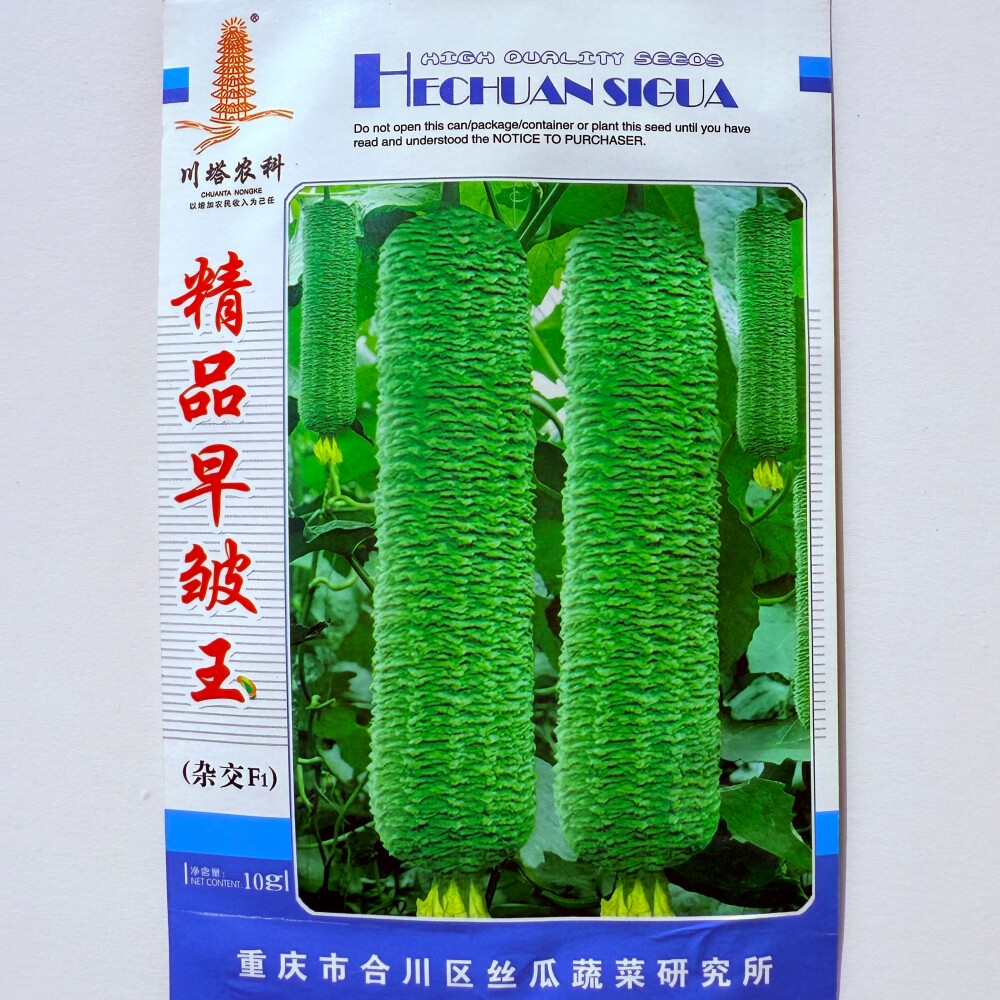 川塔精品早皱王丝瓜种子杂交极早熟高产春秋两用清香白肉丝瓜种籽