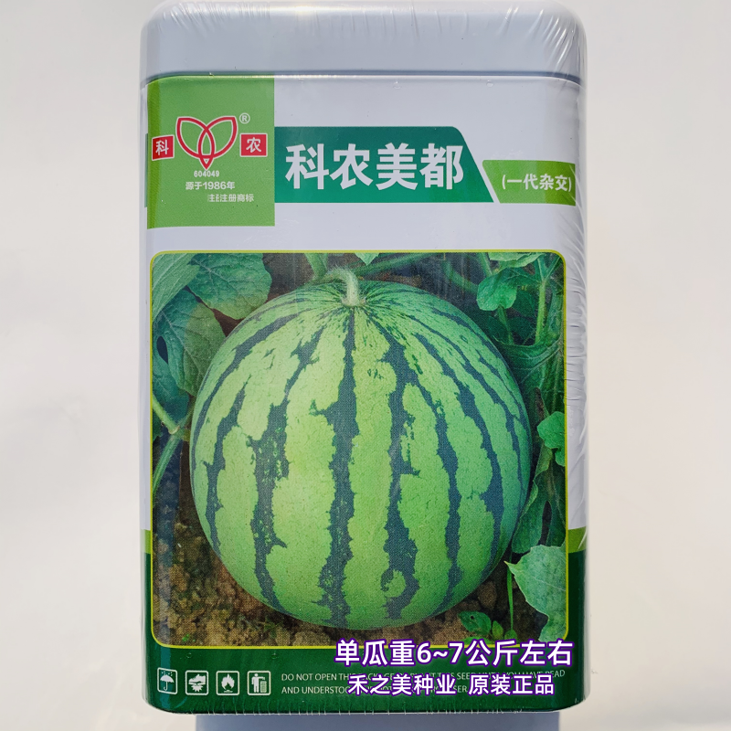 科农美都/京欣一号西瓜种籽杂交花皮圆果特大西瓜种子大田基地播