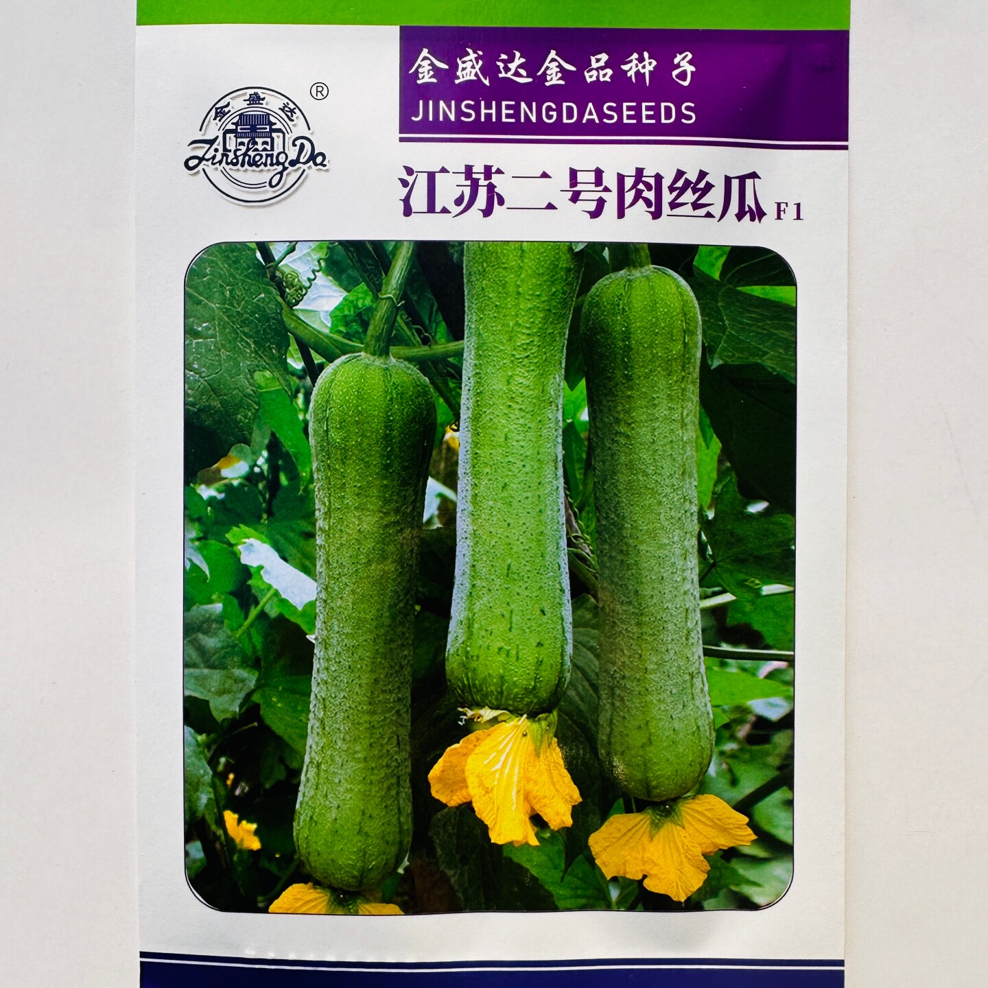 金盛达江苏二号肉丝瓜种子高产早熟丝瓜种籽口感好农家春季蔬菜孑