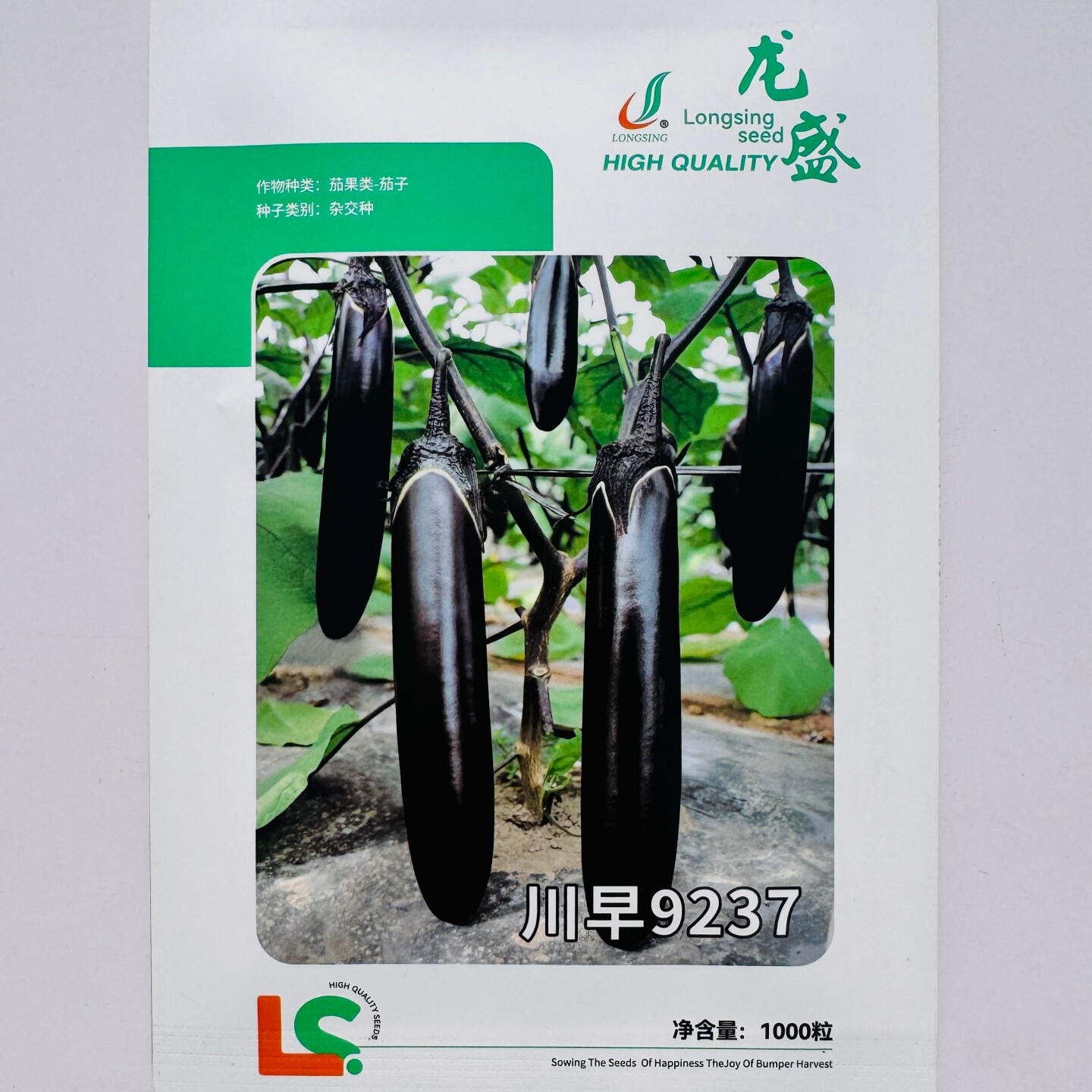 龙盛川早9237茄子种子杂交早熟紫黑皮淡绿肉长茄种籽农家春夏秋播