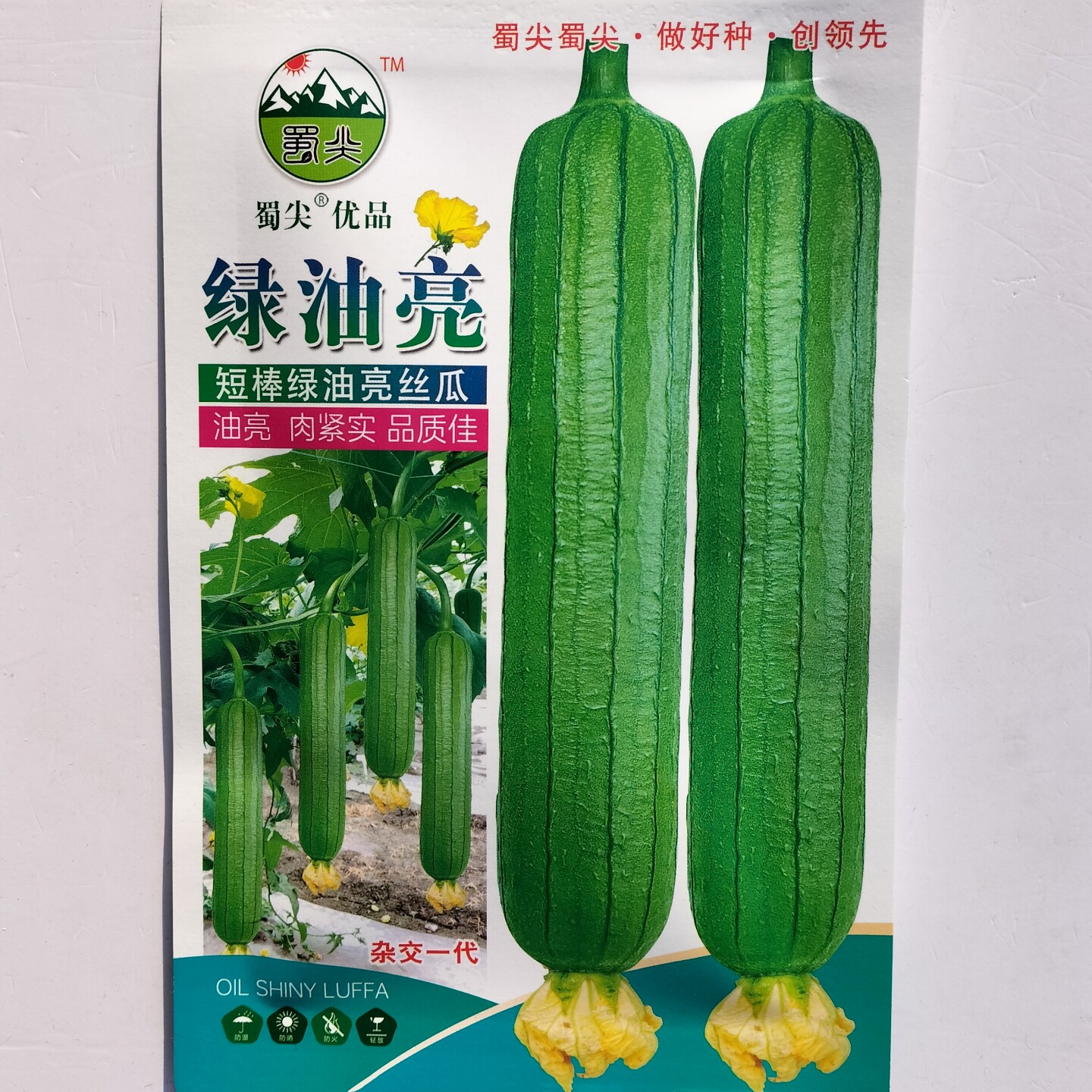 绿油亮丝瓜种子杂交高产短棒油亮肉厚味浓丝瓜种籽农家春夏季播种