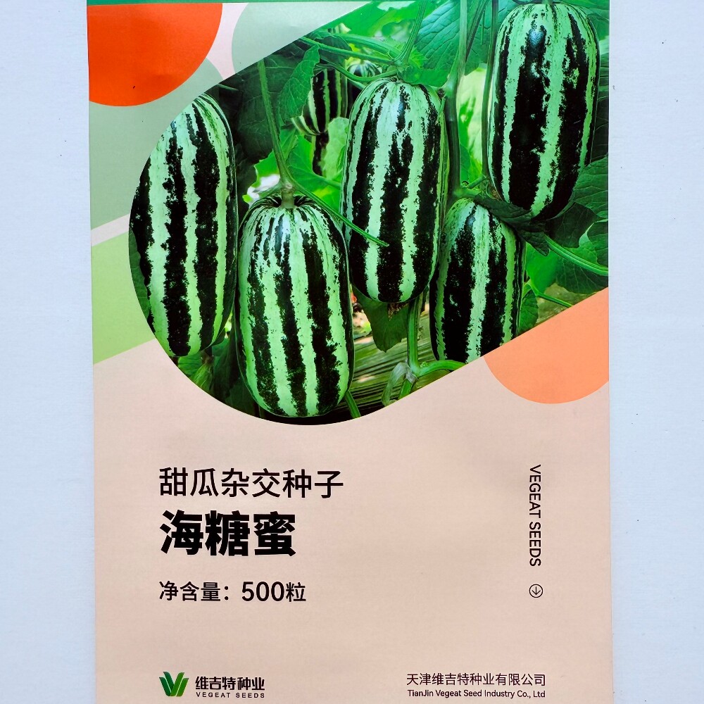 维吉特种业海糖蜜甜瓜种子杂交一代花皮绿肉香瓜种籽农家春秋季播