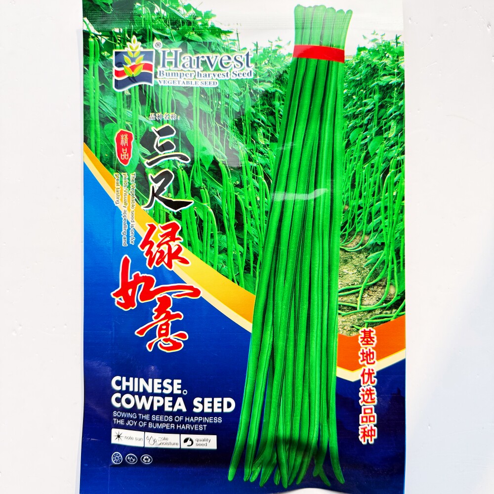 蓟农三尺绿如意豇豆种子高产青绿色长豆角种籽耐老化农家春秋季播