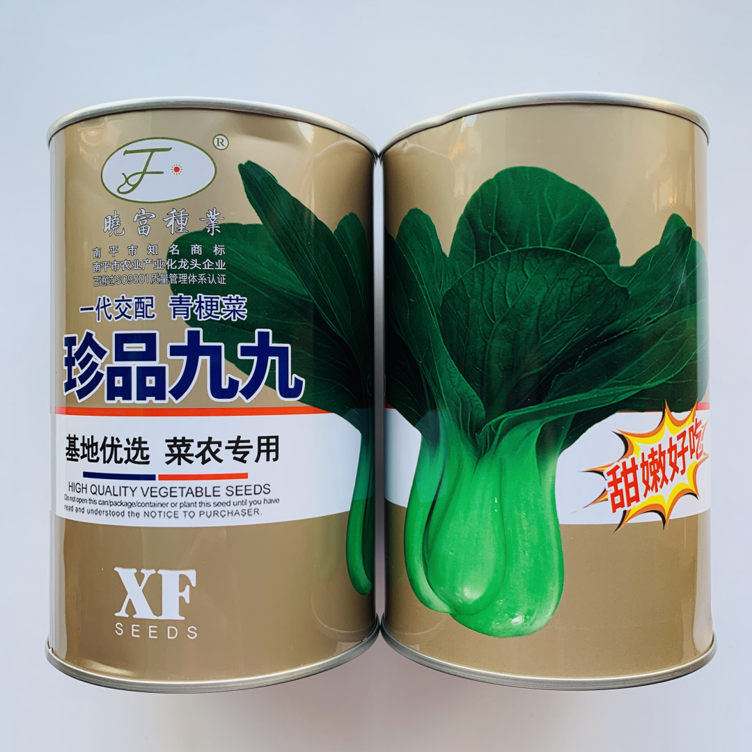 晓富珍品九九青梗菜种子耐热耐寒甜嫩好吃小油菜种籽基地专用青菜