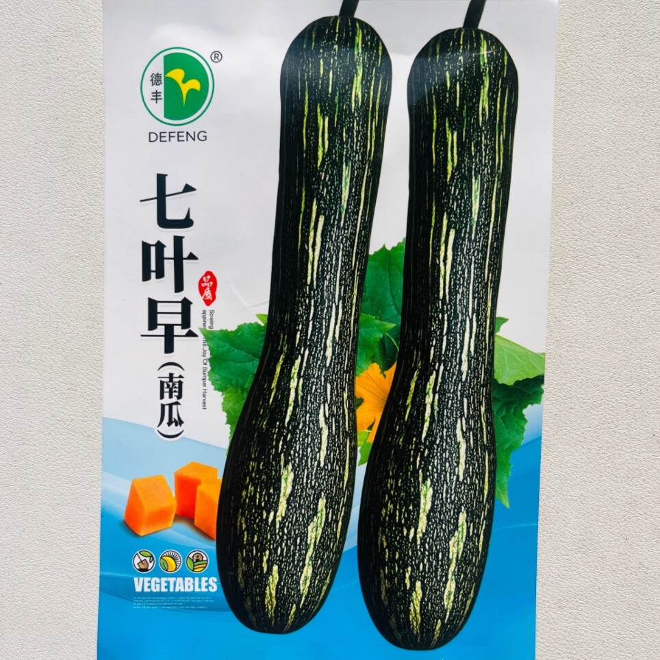 七叶早南瓜种子花皮早熟老品种好吃南瓜种籽香甜农家春秋播蔬菜孑