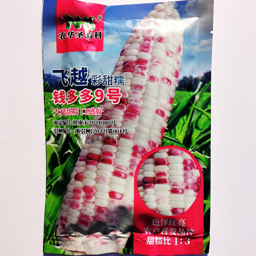 飞越彩甜糯钱多多9号玉米种子大穗甜糯口感香甜软糯高产玉米种籽