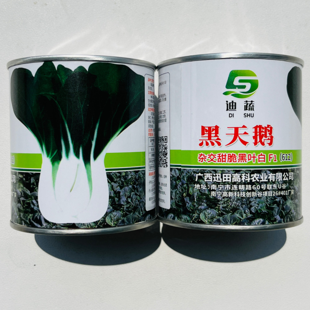 黑天鹅杂交甜脆黑叶白梗青菜种子耐热耐寒小白菜种籽农家春秋季播