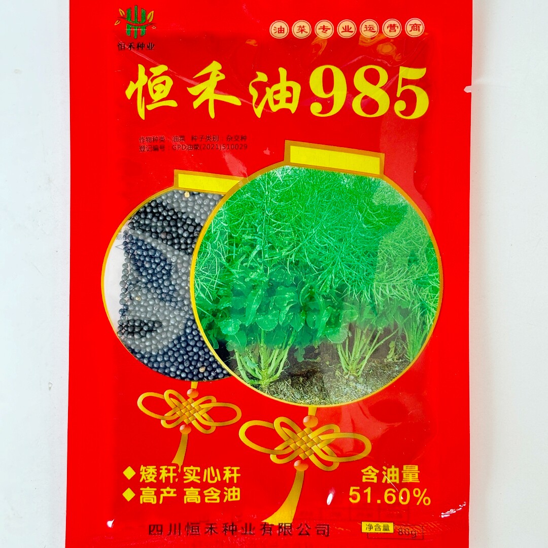 恒禾油985油菜种子杂交高产高油矮杆耐寒抗倒早熟油菜南北春秋播