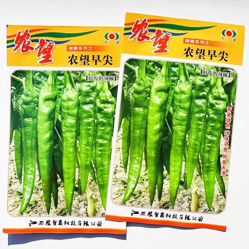 早尖辣椒种子杂交早熟分枝力强辣味浓香鲜味好少渣鲜食爽口