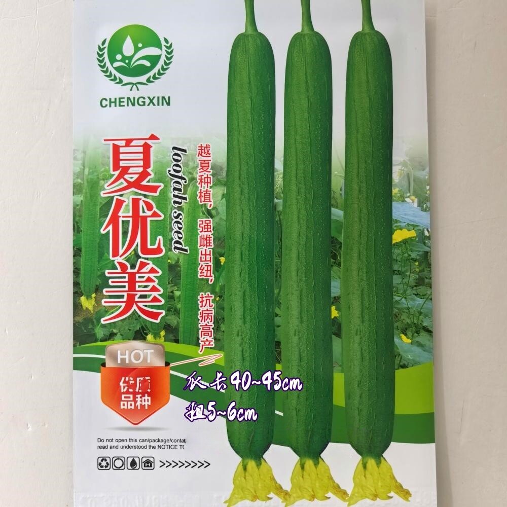 夏优美长丝瓜种子抗病高产强雌香丝瓜种籽南北方大田基地春夏季播