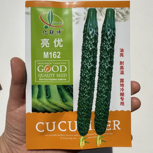 天津亿联特亮优M162黄瓜种子绿肉油亮耐高温黄瓜种籽春夏秋季 播种