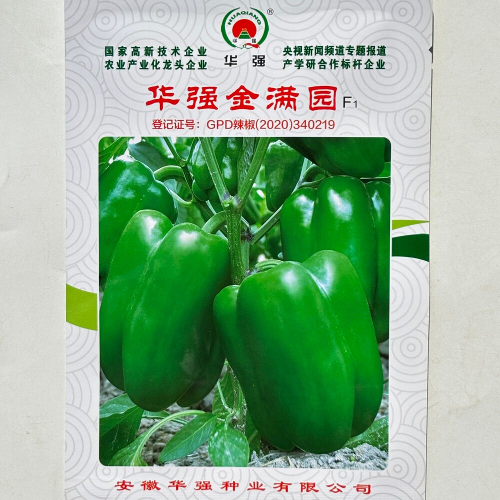 华强金满园大果高产甜椒种子抗病早中熟杂交菜椒辣椒种籽春秋季播