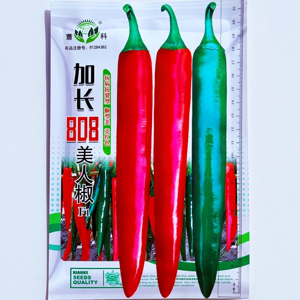 萧科加长808美人椒种子高产中早熟辣椒种籽青红两用农家春秋季播