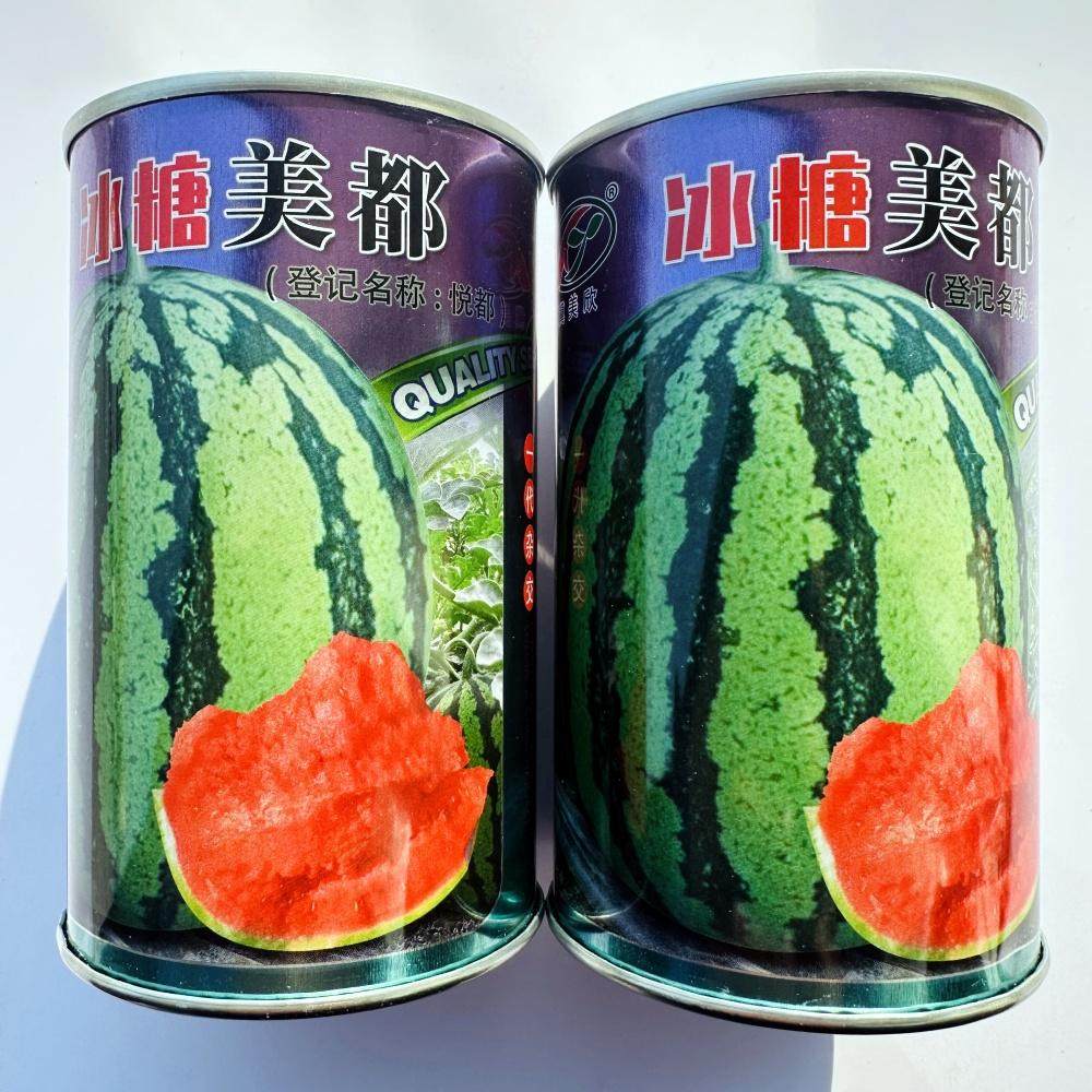 冰糖美都西瓜种籽早熟大果西瓜种子南北方早春大棚露地播西瓜种孑