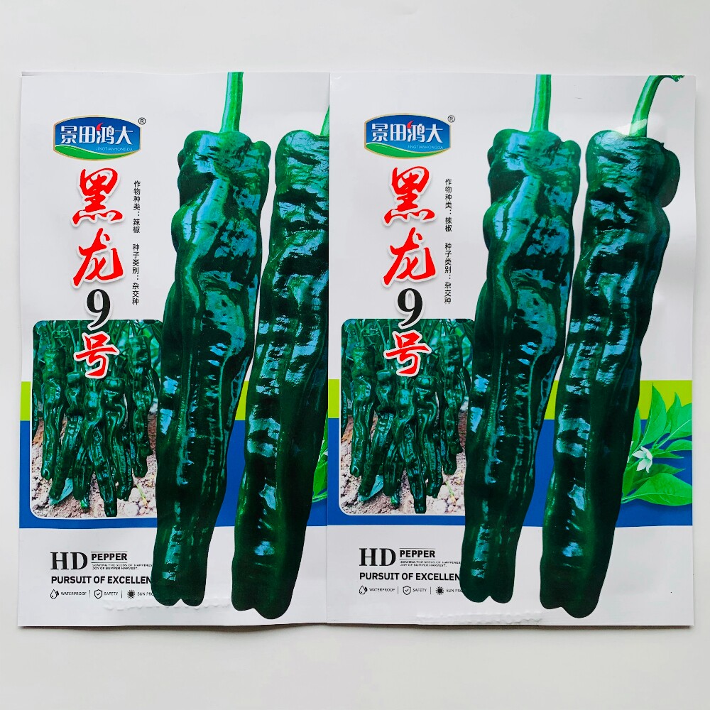 黑龙9号皱皮辣椒种子杂交抗病高产薄皮羊角辣椒种籽农家春秋季播