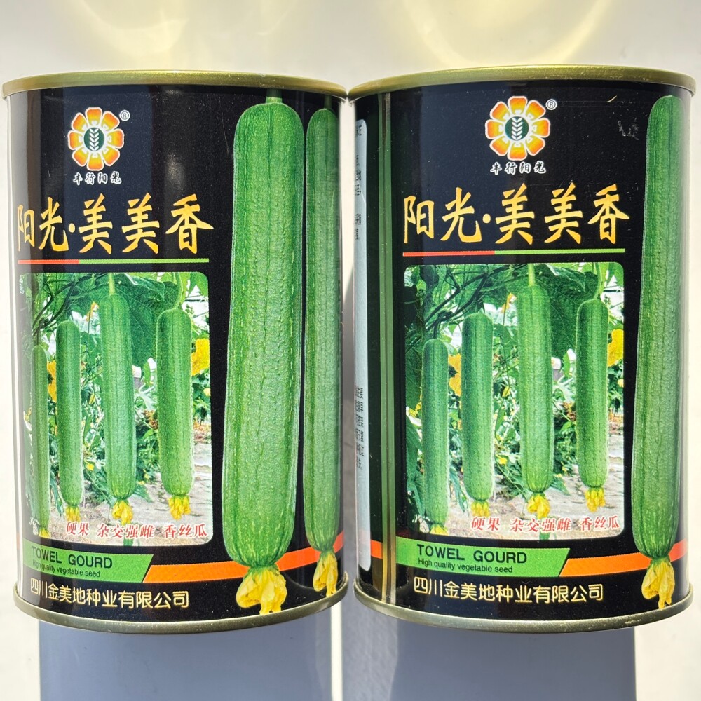 阳光美美香丝瓜种子杂交一代高产耐热耐湿香丝瓜种籽大田基地专用