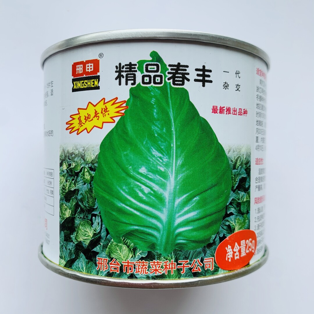 邢申精品春丰甘蓝种子早熟牛心甘蓝种籽卷心菜大田基地春秋季播种