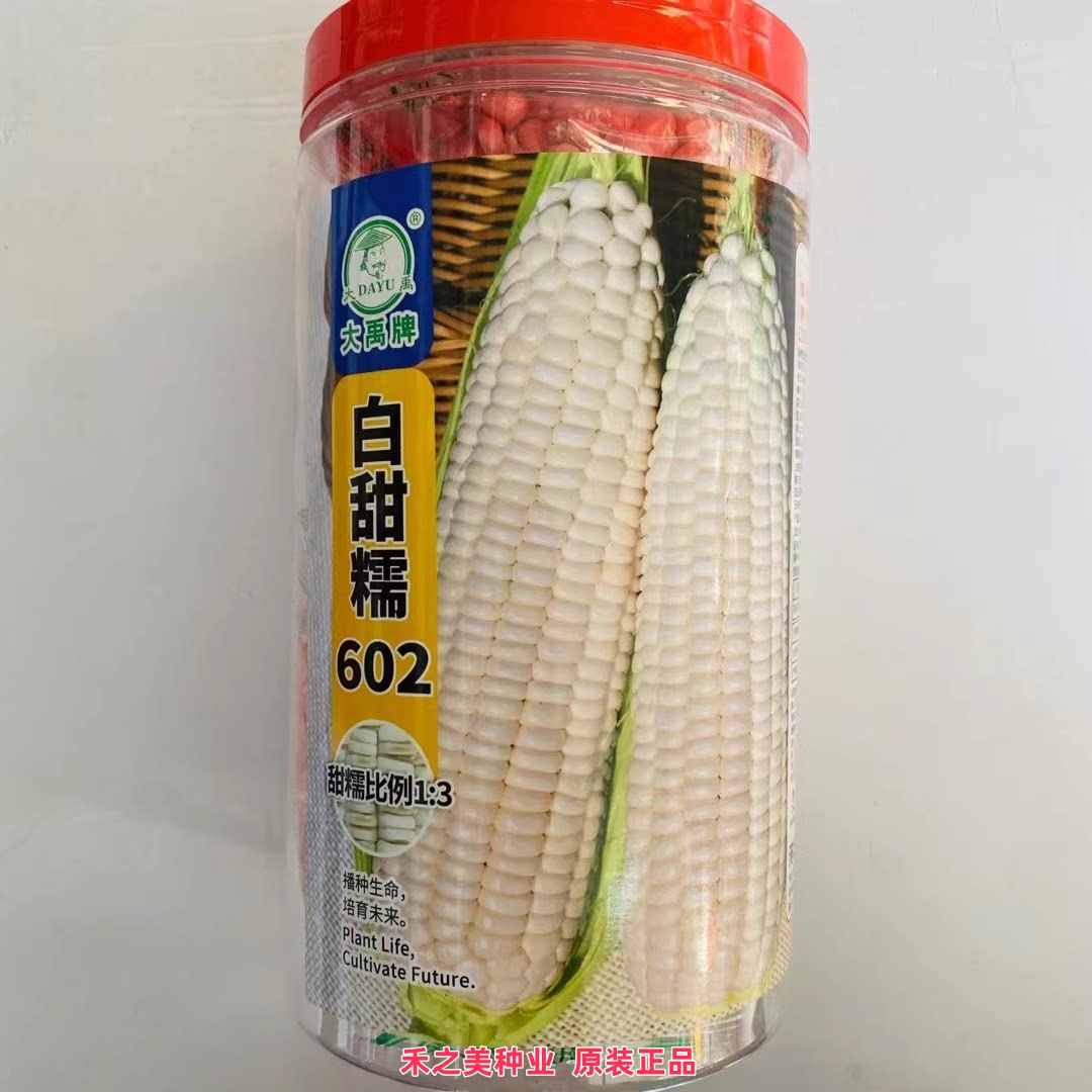大禹白甜糯602F1玉米种子口感好甜糯大棒高产春季播粘玉米种籽孑