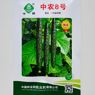 中蔬中农8号黄瓜种子杂交深绿顺直高产黄瓜种籽农家春季蔬菜种孑