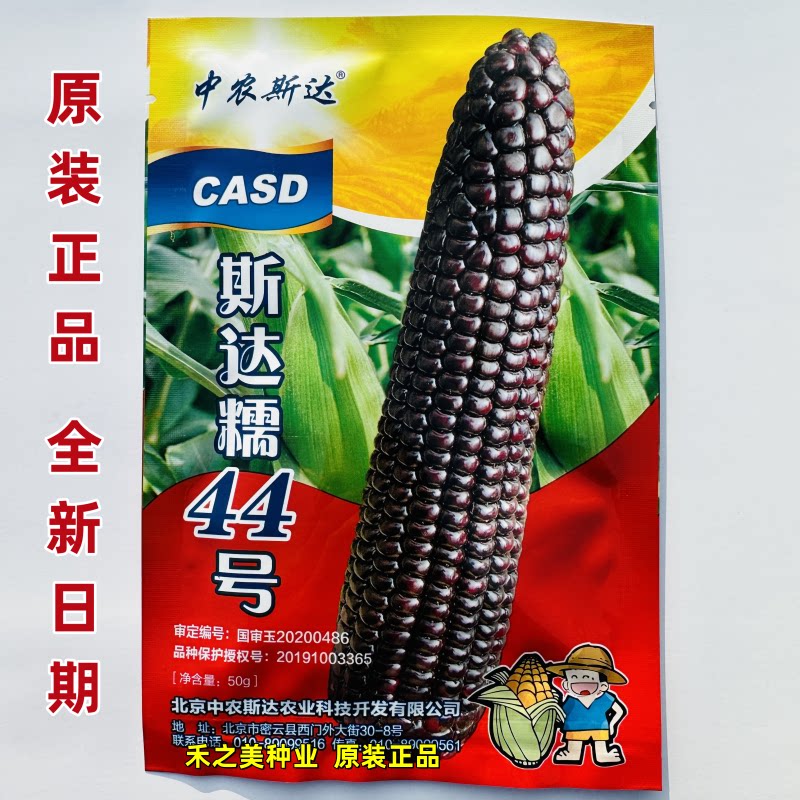 斯达糯44黑糯黑玉米种子甜糯高产粘甜糯米超甜糯香黑糯玉米籽种