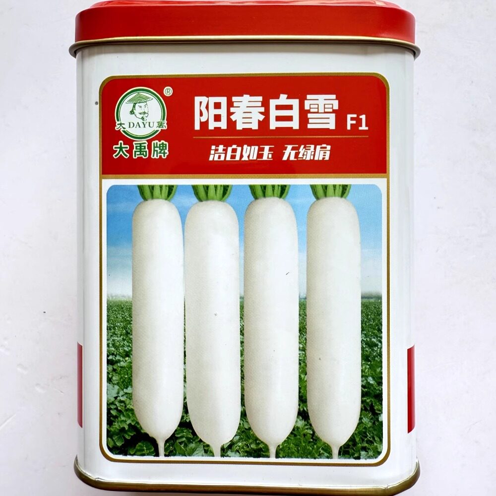 大禹阳春白雪白萝卜种子根皮洁白无绿肩白萝卜种籽农家春秋季播种