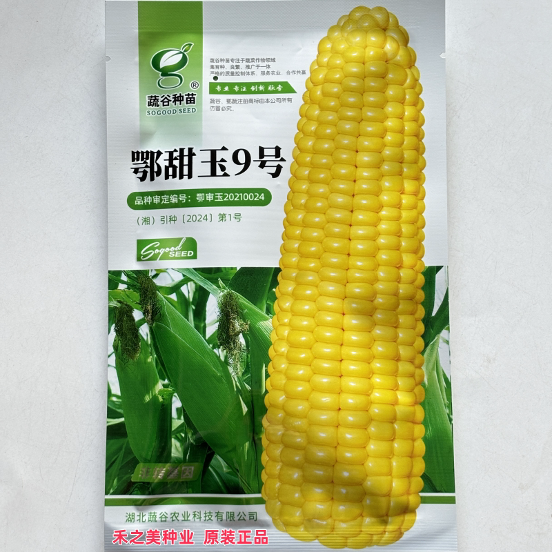 甜玉9号水果玉米种子水果甜超甜种籽四季生吃春季夏蔬菜孑子黏甜