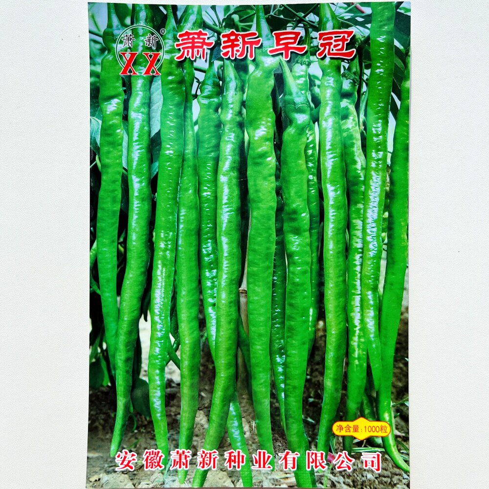 萧新早冠/丰收十八细长羊角椒种籽早熟抗病线椒种子一代杂交辣椒