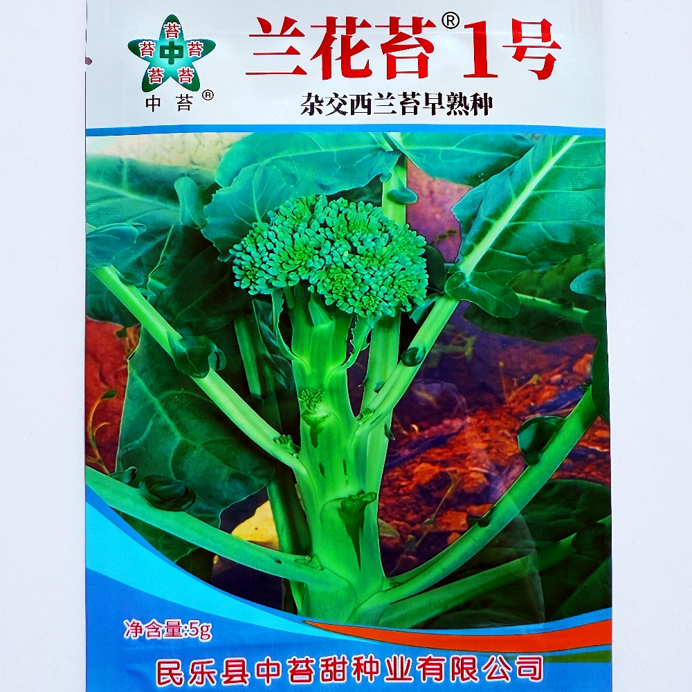 中苔兰花苔1号西兰苔种子抗病耐热杂交早熟青花菜种籽农家春秋播
