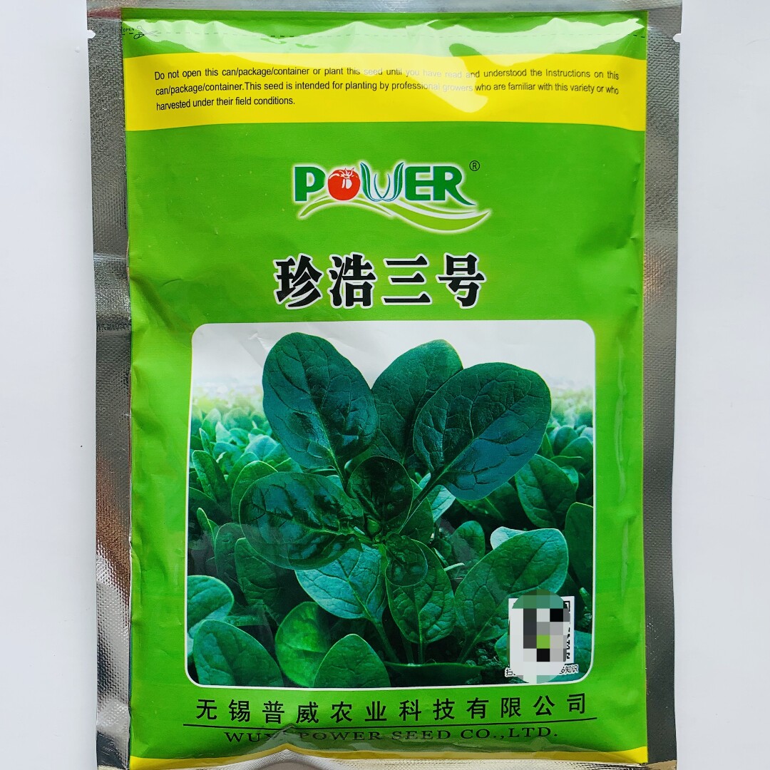 珍浩三号菠菜种子耐寒高产深绿圆叶菠菜种籽农家秋冬季播蔬菜种孑