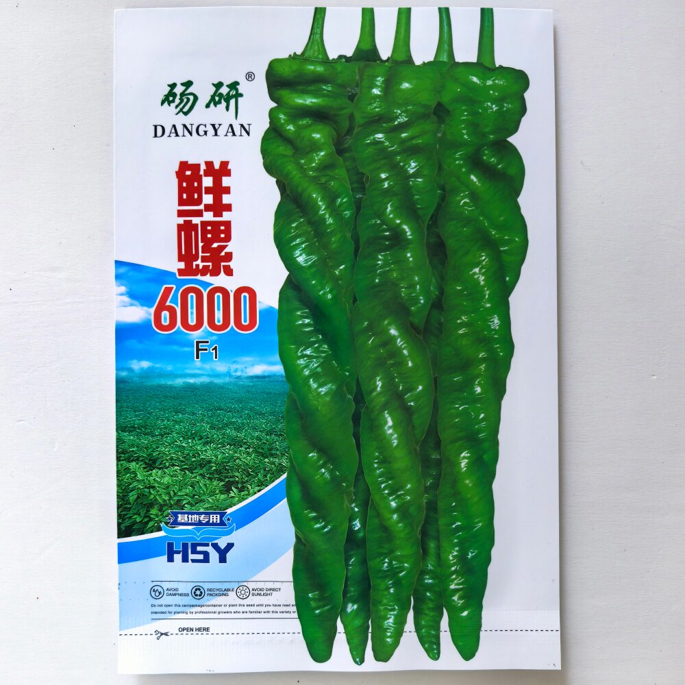 鲜螺6000早中熟螺丝椒种子产量高商品性好杂交辣椒种籽大田基地用