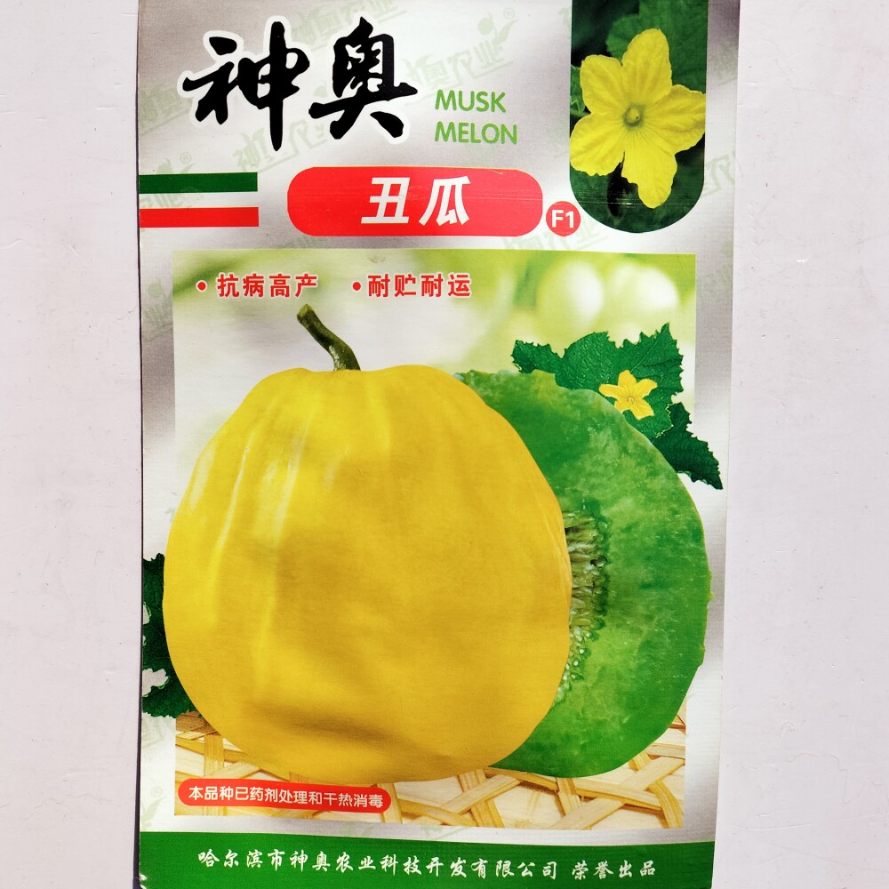 神奥丑瓜十里香种子高糖薄皮甜瓜种籽抗病高产黄皮绿肉香瓜种子孑