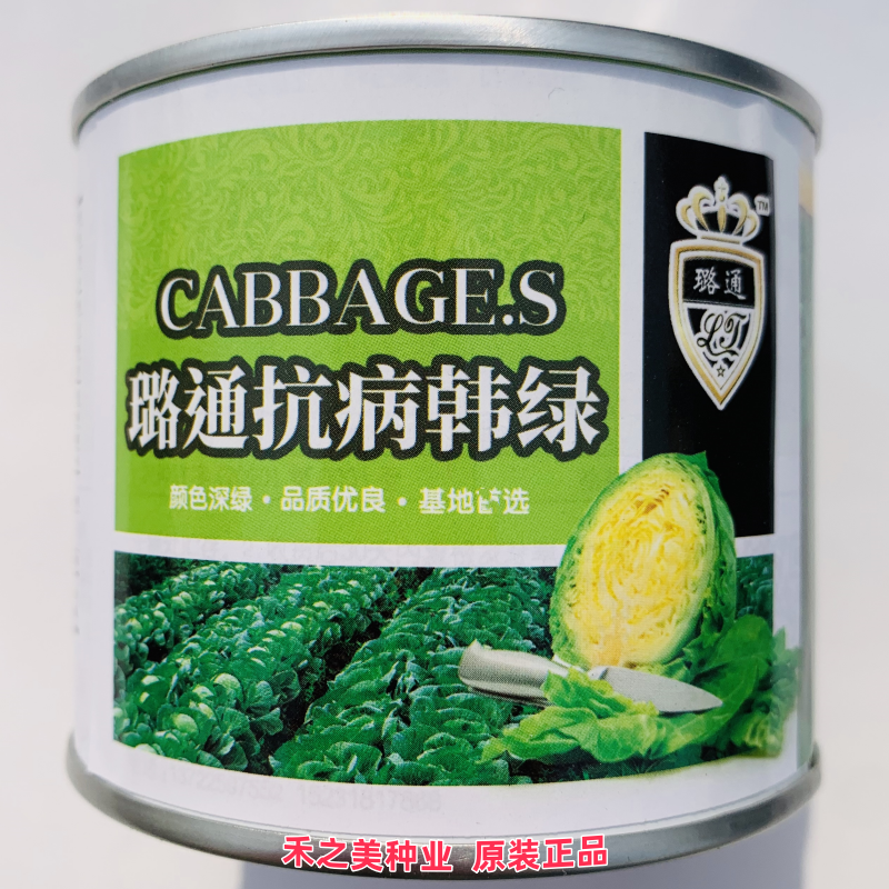 璐通抗病韩绿甘蓝种子耐热卷心菜包菜种籽耐寒高产大头菜包心菜孑