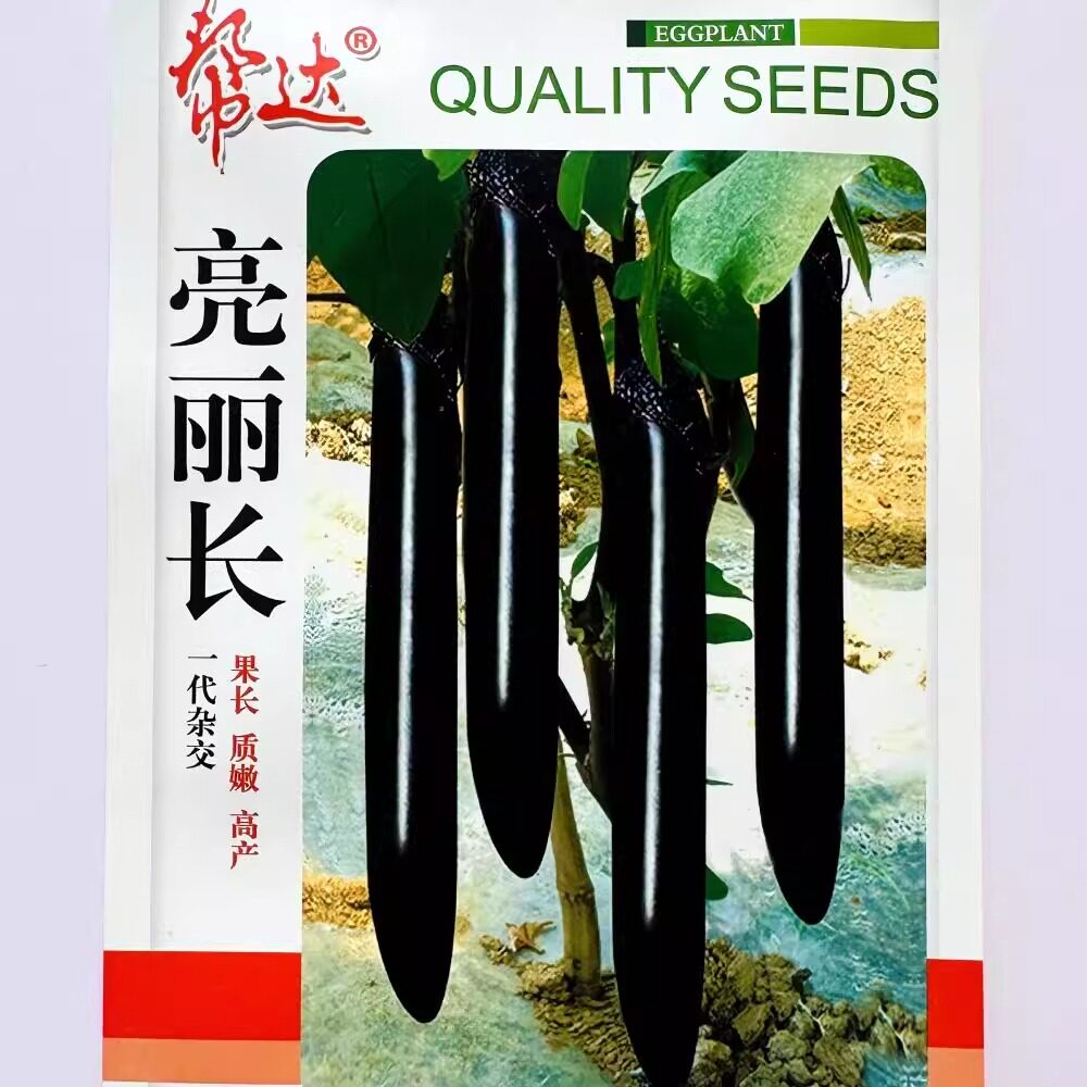 帮达亮丽长茄子种子墨娇龙紫黑长茄种籽早春季大棚基地播蔬菜种孑