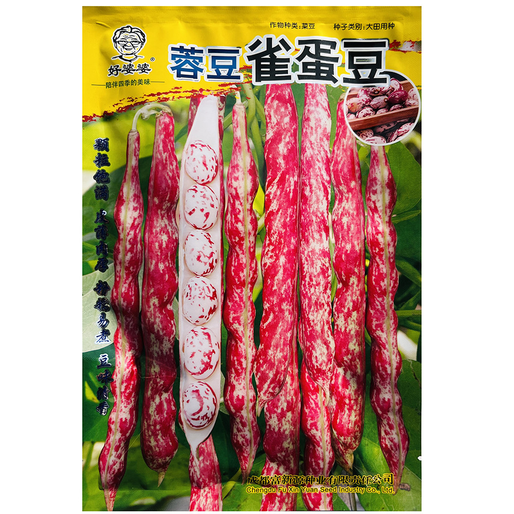 蓉豆雀蛋豆种子皮薄肉厚粉糯早熟型油豆角种籽春秋季播蔬菜种籽孑