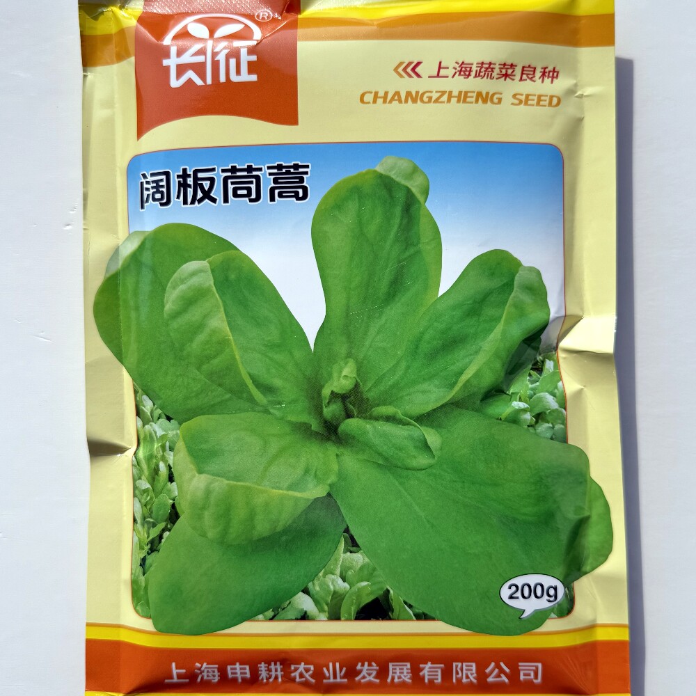 长征阔板茼蒿种子虎耳大叶板叶茼蒿菜种籽南北方春夏秋季播蔬菜孑