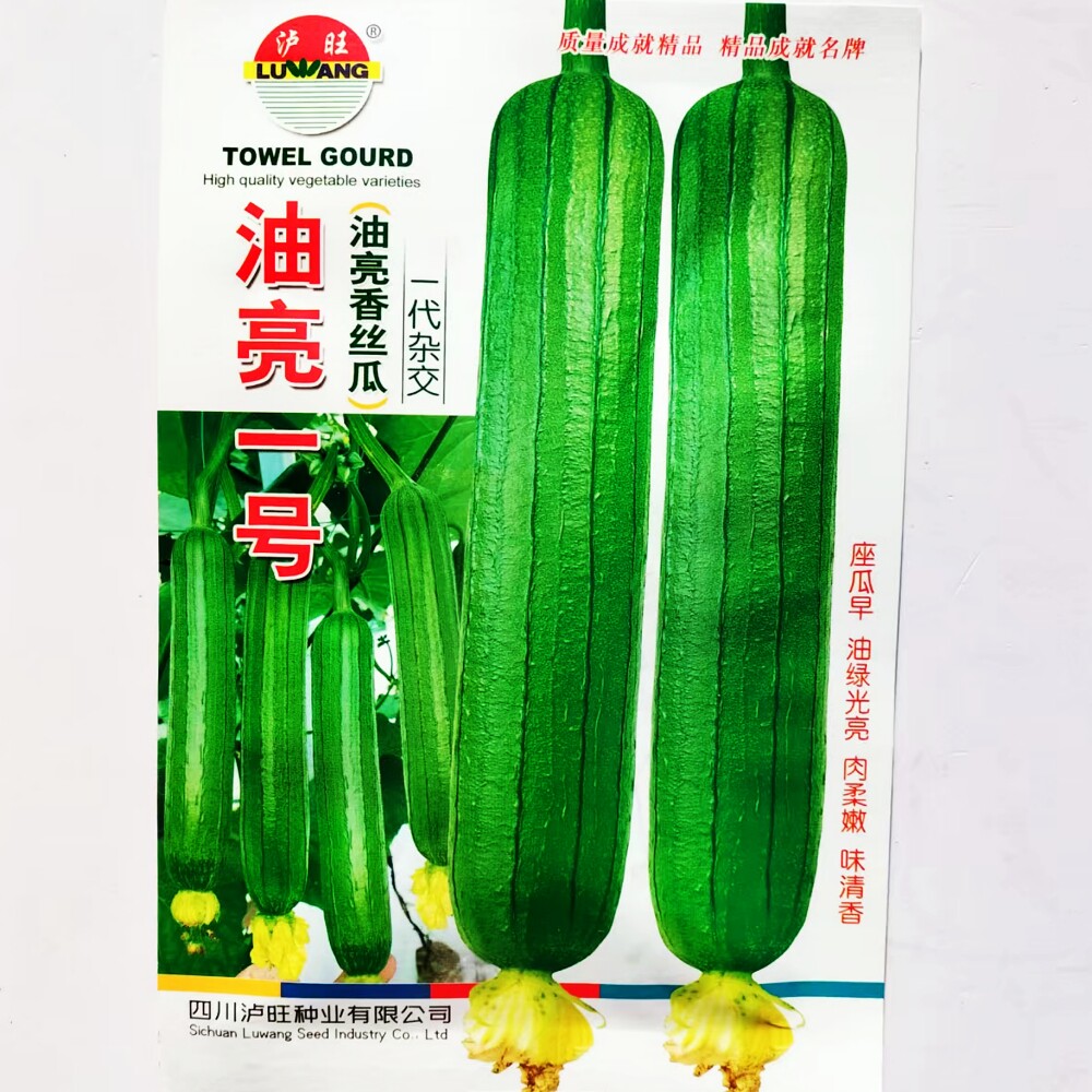 油亮一号油亮香丝瓜种子一代杂交早熟薄皮清香丝瓜种籽春秋季播种