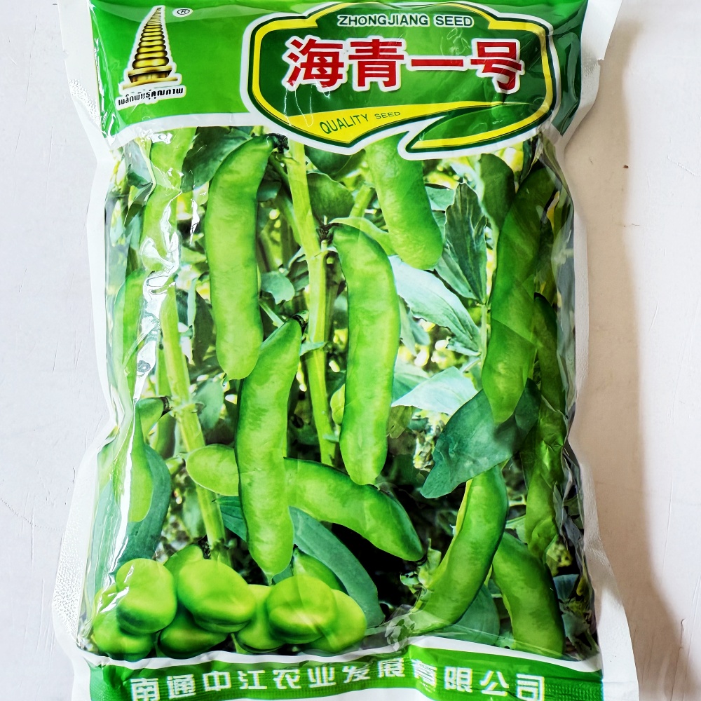 海青一号青皮蚕豆种子日本大白皮蚕豆种籽特大高产耐寒农家秋季播