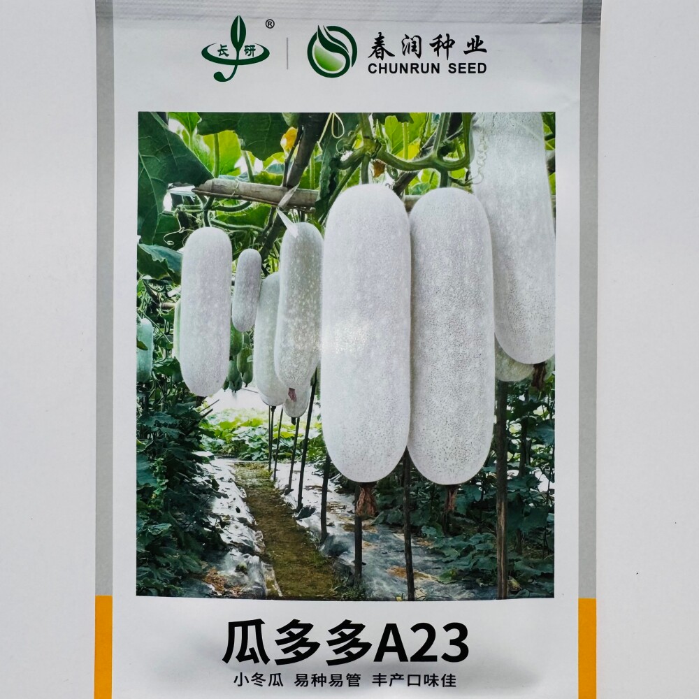 春润瓜多多A23粉皮小冬瓜种子抗病商品性好小节瓜种籽农家春夏播
