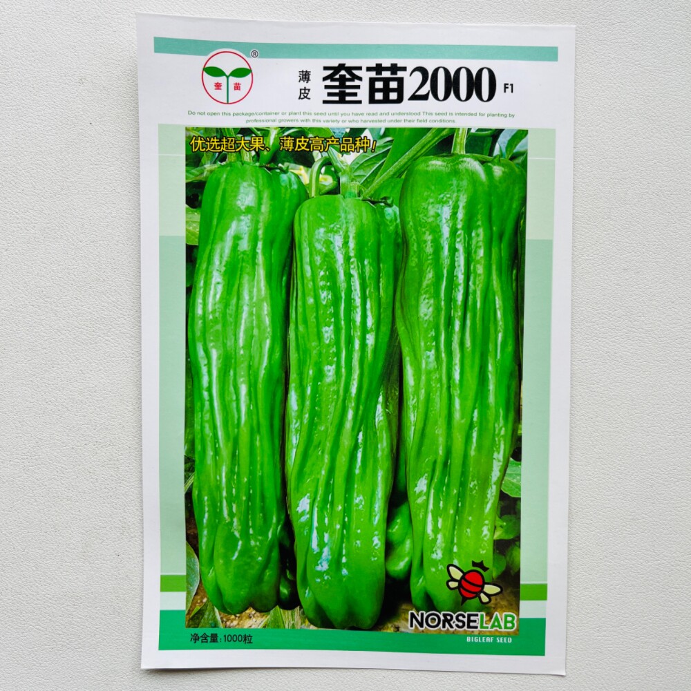 薄皮泡椒种籽奎苗2000抗病高产大果微辣辣椒种子优质新品蔬菜种孑