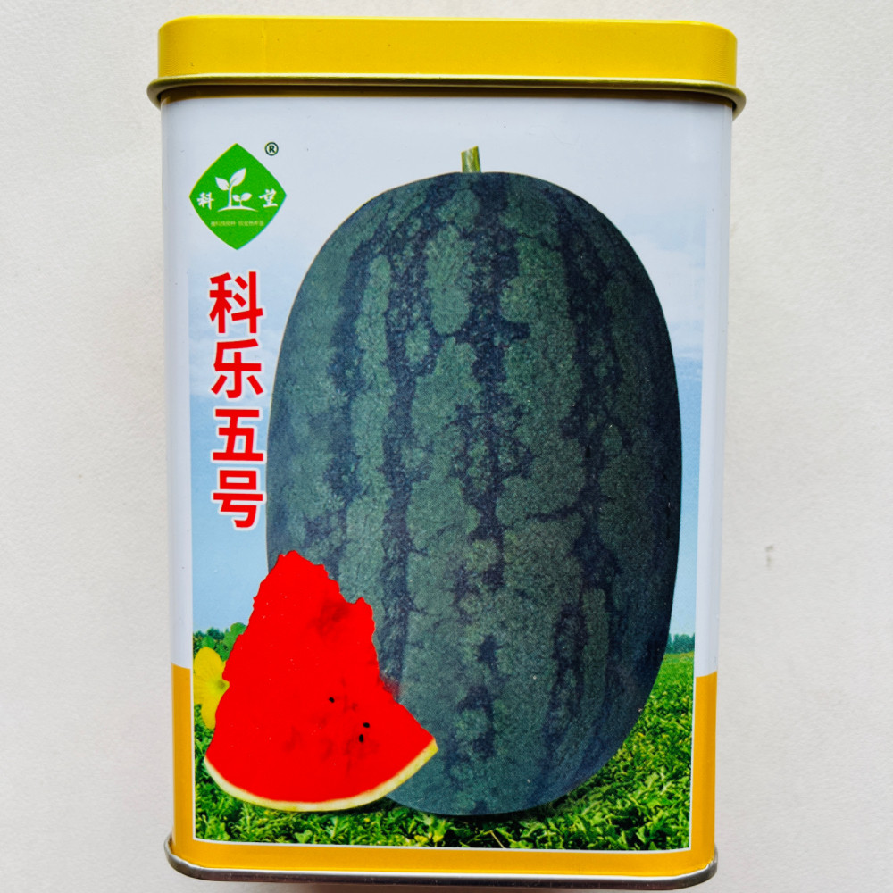 科乐五号西瓜种子浅黑皮红瓤肉质细脆口感佳薄皮西瓜种籽春季播种