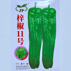 梓椒11号大果泡椒种子高产早熟皮薄质脆辣椒种籽农家春秋季播种孑