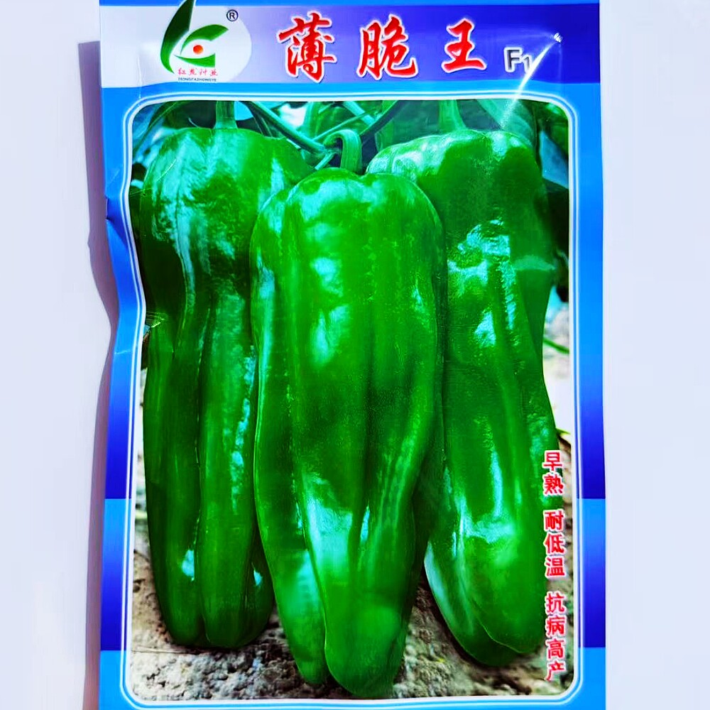 薄脆王薄皮辣椒种子抗病早熟高产泡椒种籽南北方春秋季播蔬菜种孑