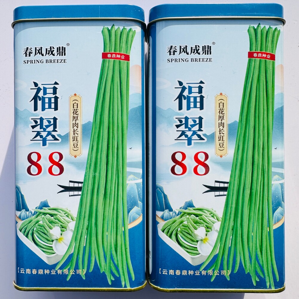 福翠88白花厚肉长豇豆种子高产翠绿荚长豆角种籽大田基地春秋季播